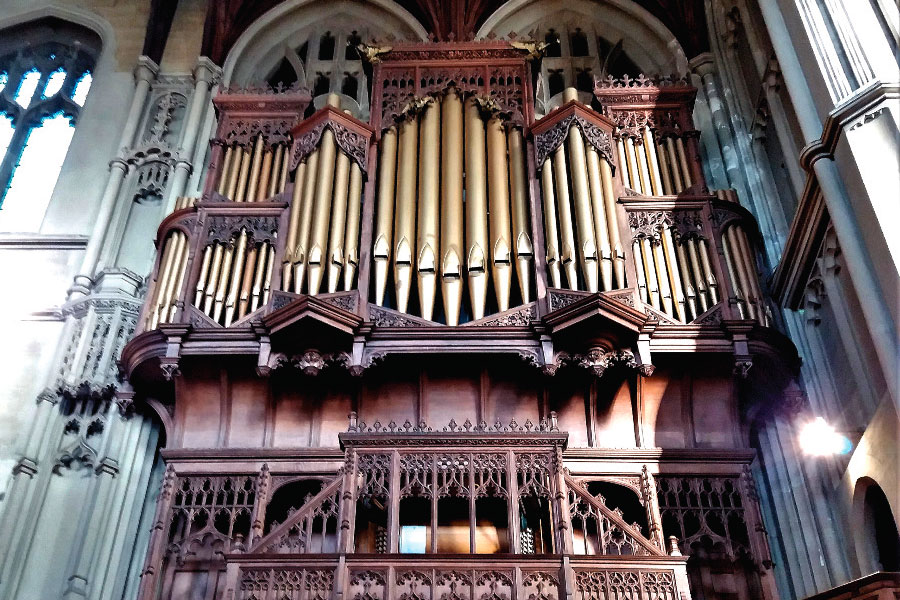 The Organ Project