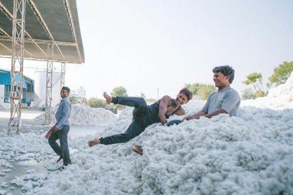 Organic Cotton Workers